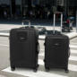 Trolley-Set im Angebot
