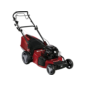 Benzin-Rasenmäher - Einhell Benzin-Rasenmäher »RG-PM 48 S B&S« im Angebot