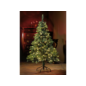Dekoration - Bel. Weihnachtsbaum, 185 cm hoch im Angebot