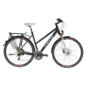 Trekkingrad - Carver ROUTE 200 Damen im Angebot