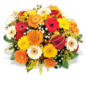 Blumenstrauß Danke für alles im Angebot