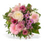 Blumenstrauß Ein dicker Kuss im Angebot