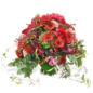 Blumenstrauß Meine große Liebe im Angebot