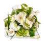Blumenstrauß Stylisch im Angebot