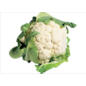 Blumenkohl im Angebot