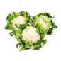 Blumenkohl Deutschland im Angebot