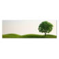 mantiburi Leinwandbild No.218 Grüne Ruhe 120x40cm im Angebot