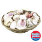 Korb mit Muscheln im Angebot