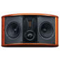 SWANS M6 Dipol im Angebot