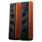 SWANS M6 im Angebot