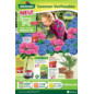 Dehner-Prospekt "Garten und Pflanzen Angebote"