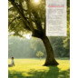 Kundenmagazin Body & Soul - Müller